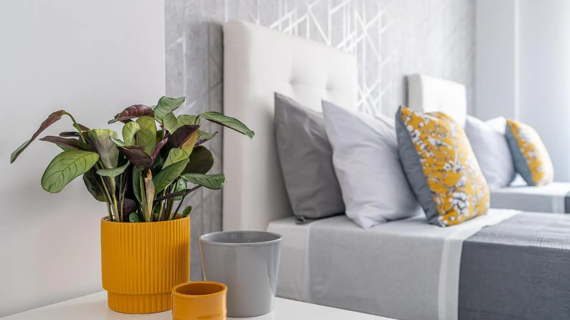 Bella Villa Road Rome Apartment